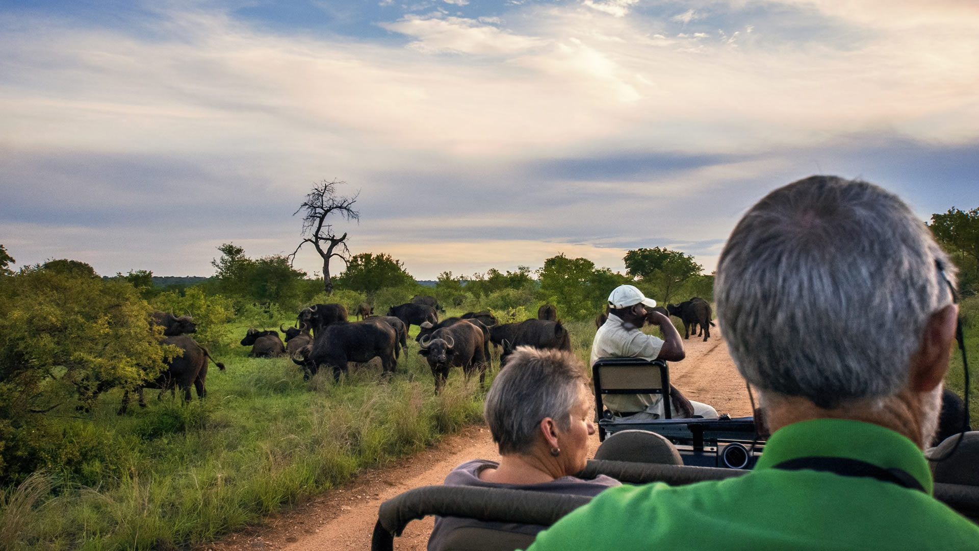 12 Days Classic Kenya Senior Citizens Safari