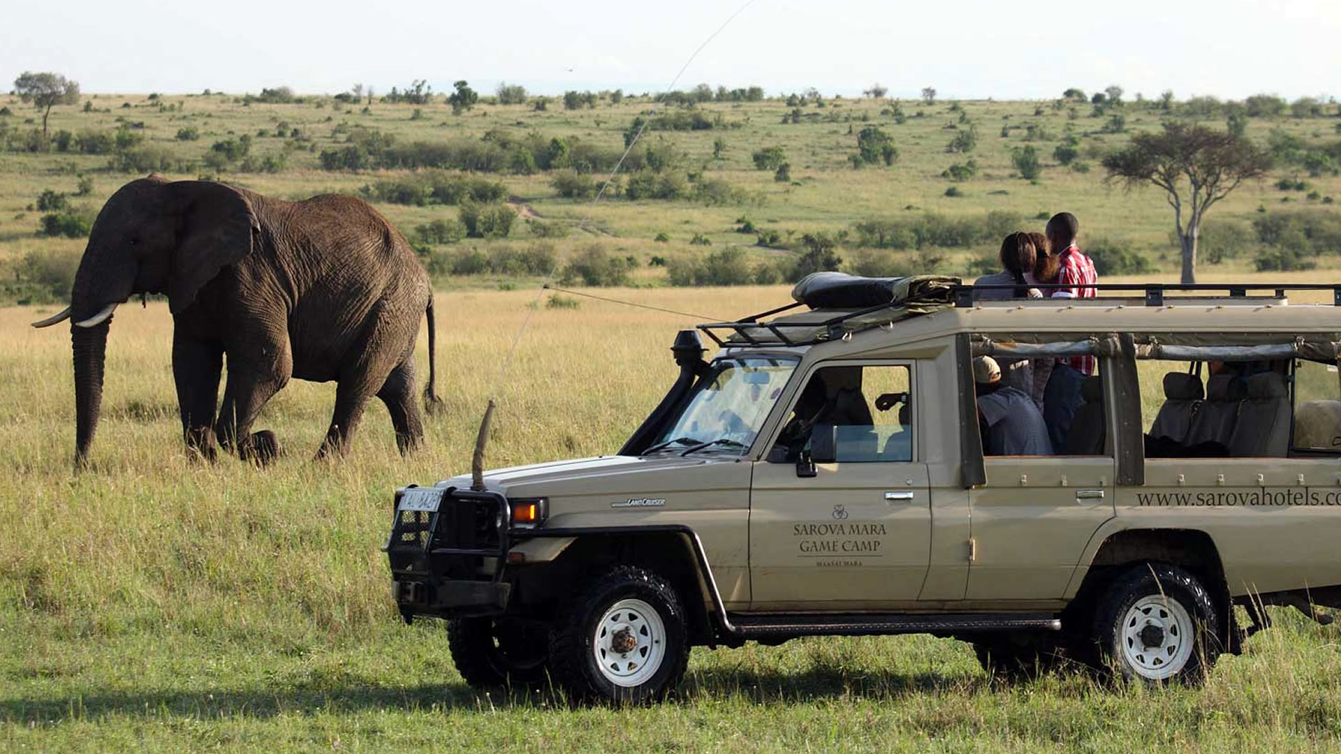2-Day Masai Mara Fly-In Safari
