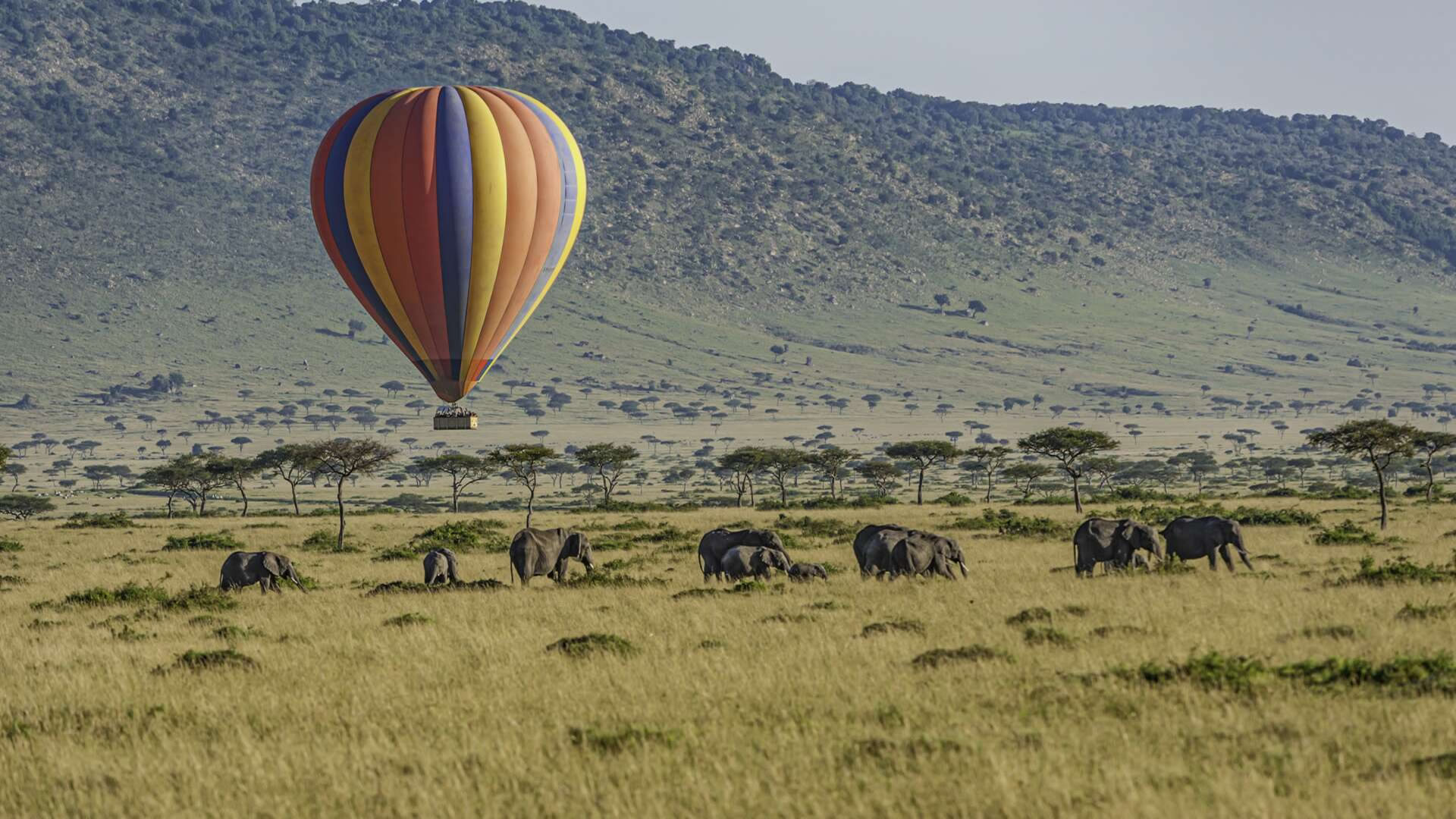 3-Day Masai Mara Fly-In Safari