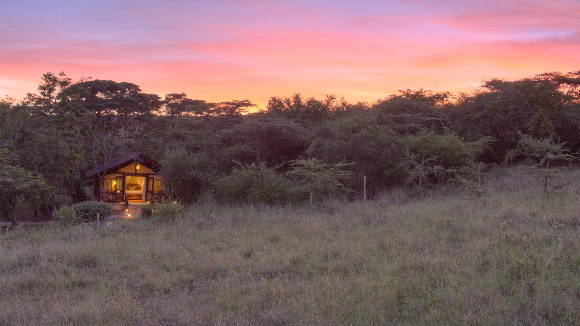 4-Day Masai Mara Fly-In Safari
